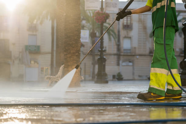 Best Driveway Pressure Washing  in Aldine, TX